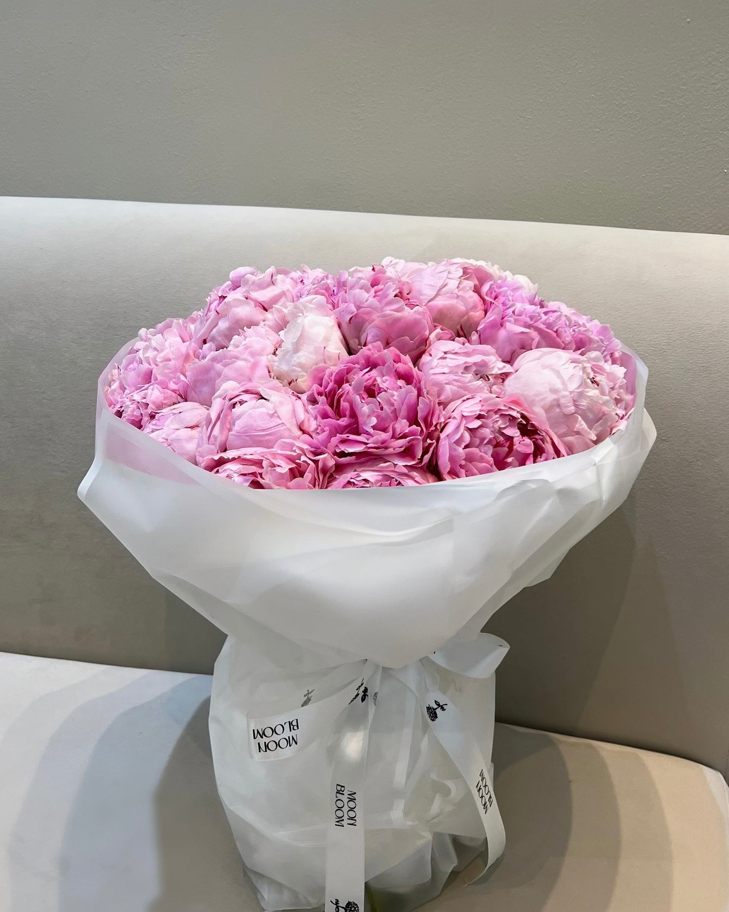 Peony Dream
