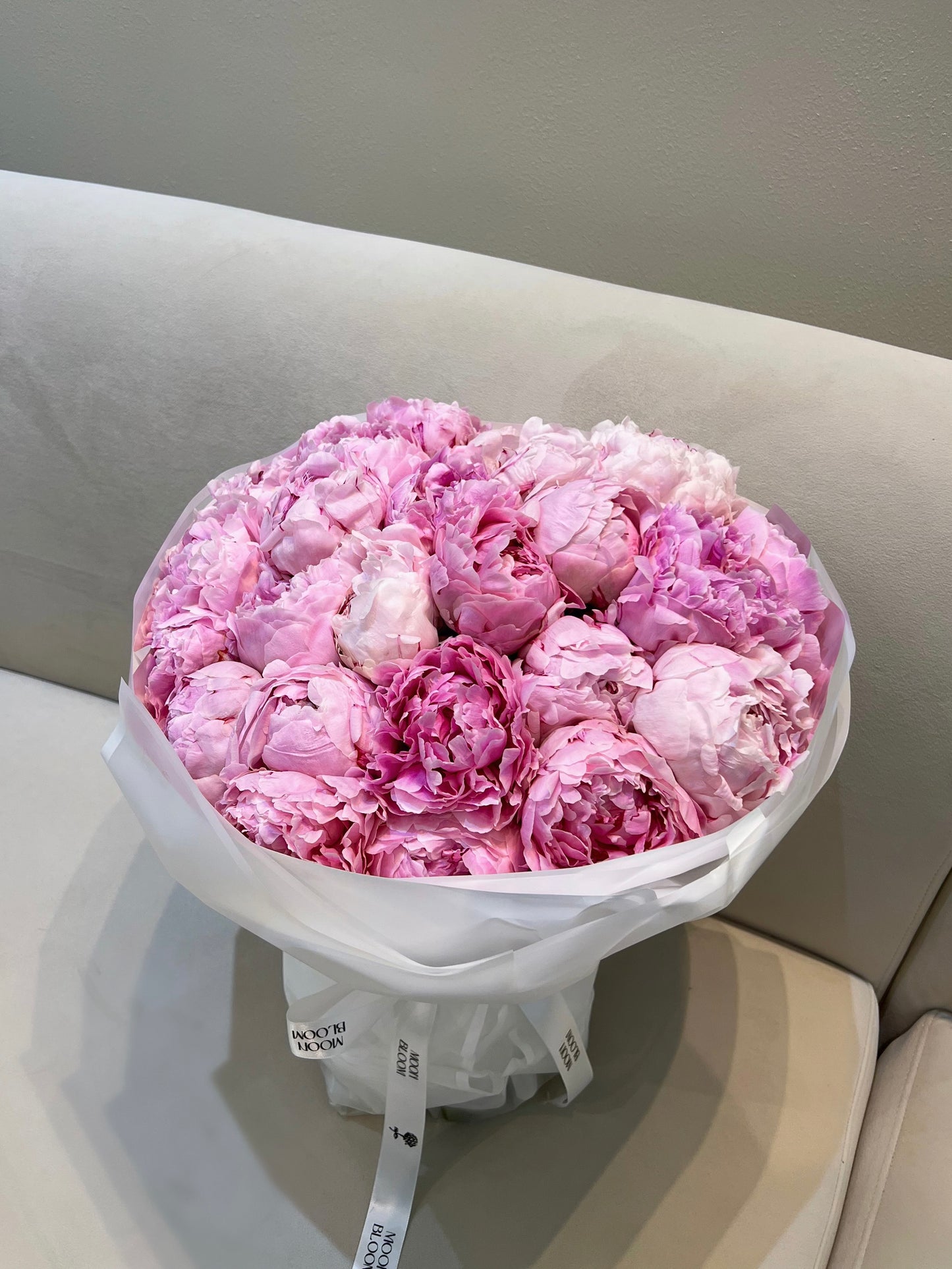 Peony Dream