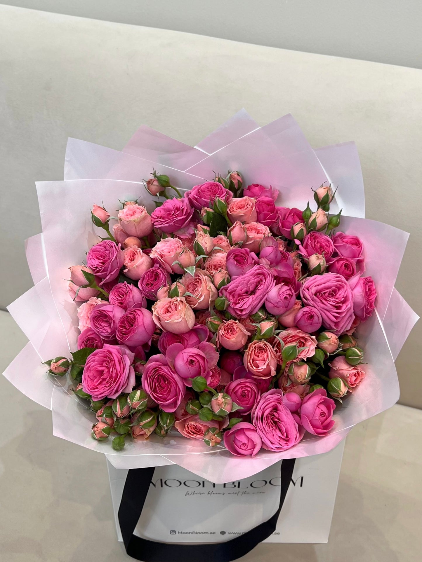 Pink Muse